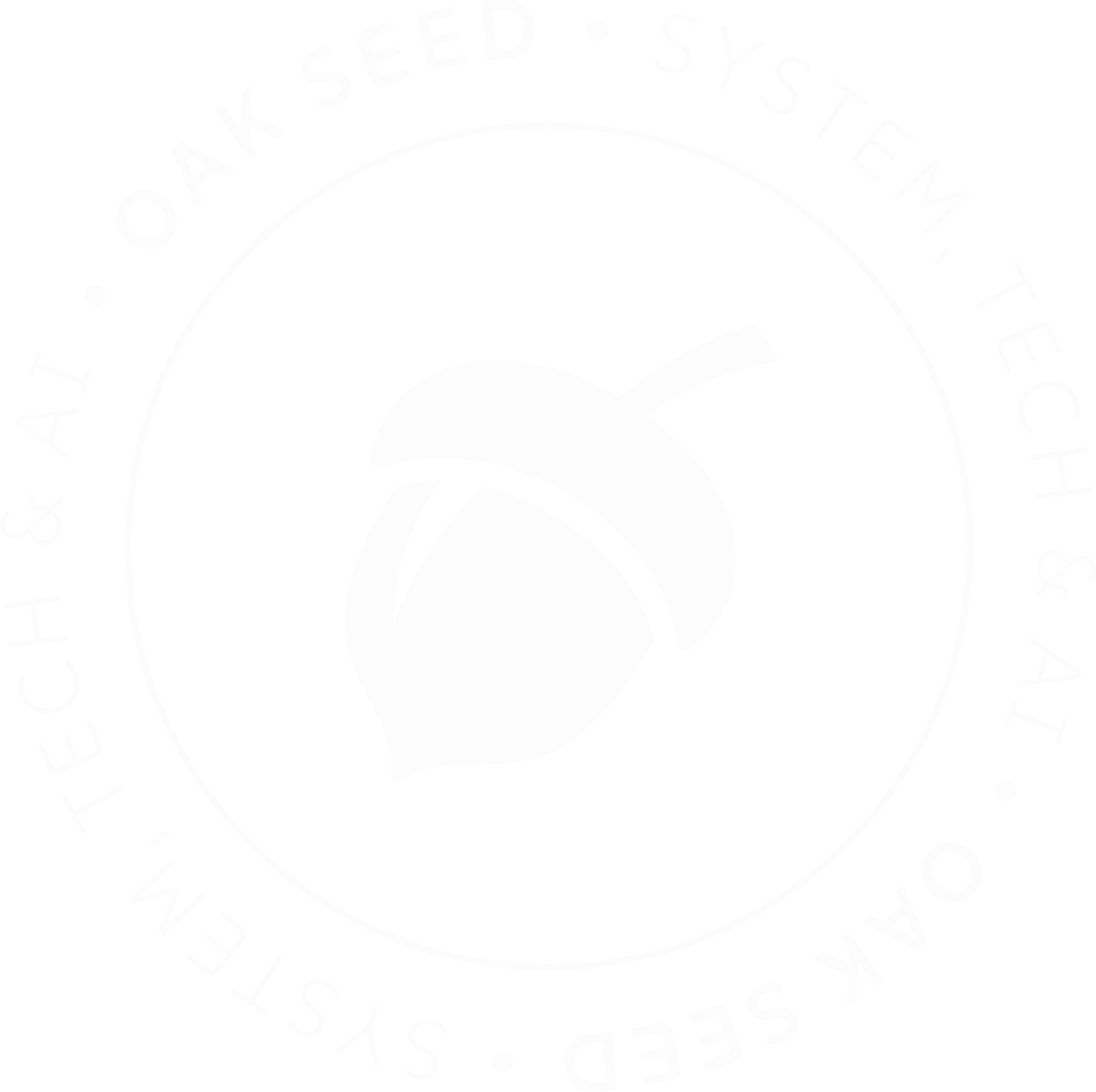 OAK SEED